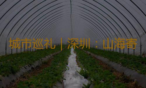 城市巡礼｜深圳：山海寄梦 创新不息